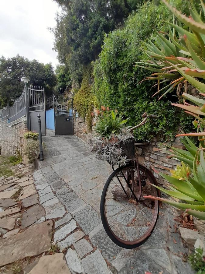 Ca Dell'Acciuga Villa Cervo Bagian luar foto