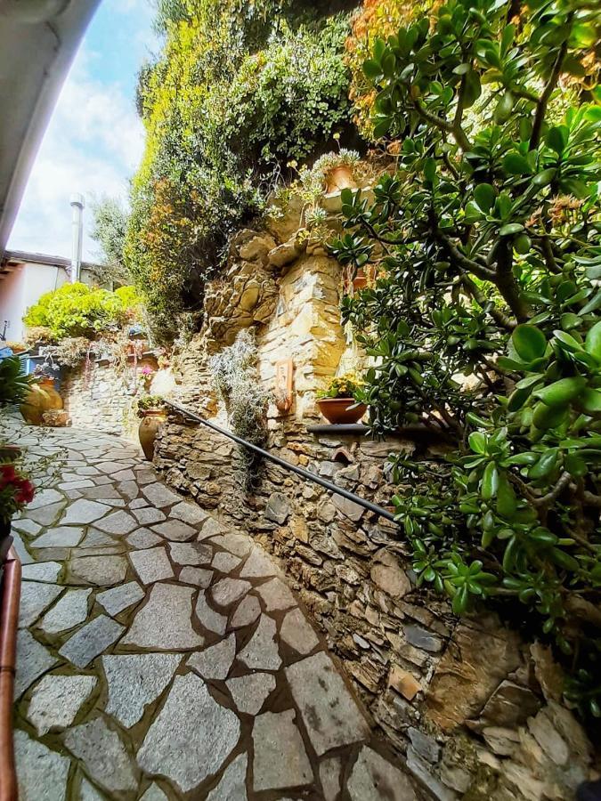 Ca Dell'Acciuga Villa Cervo Bagian luar foto
